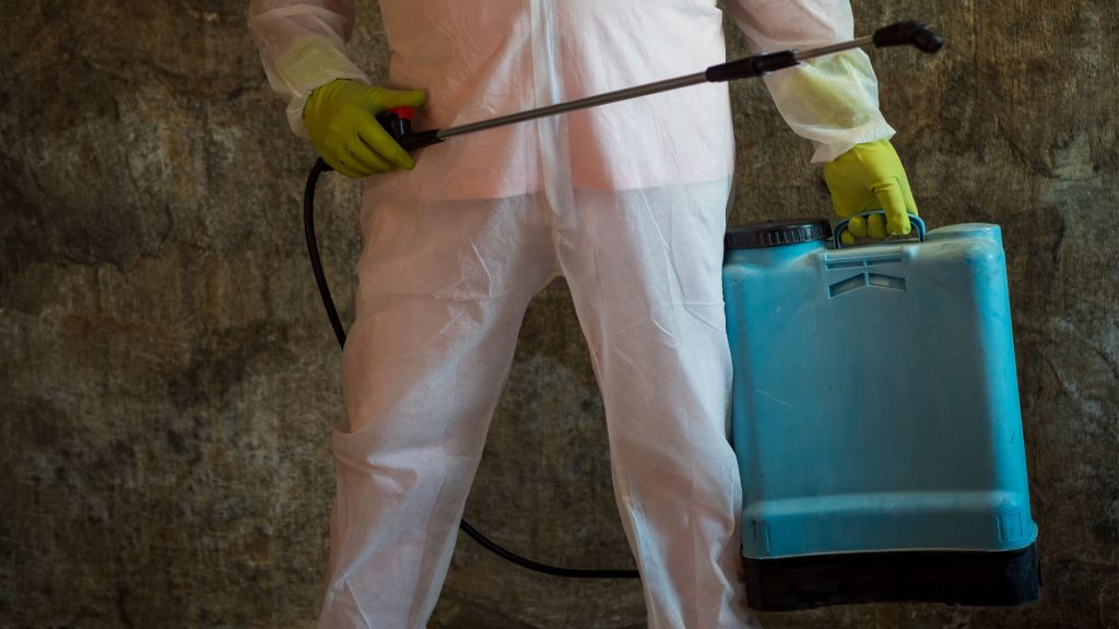 seo-benefits-pest-contro-1l
